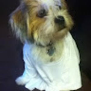 Meet your Posher, Michaela